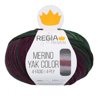 Regia Premium Merino Yak Color 4-ply 8506