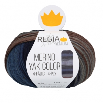 Regia Premium Merino Yak Color 4-ply 8508 Ocean Color