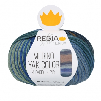 Regia Premium Merino Yak Color 4-ply 8509 Meadow Color