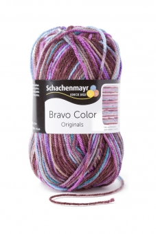 Bravo Color Schachenmayr 2086 violett color