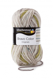 Bravo Color Schachenmayr 2108 nebel color